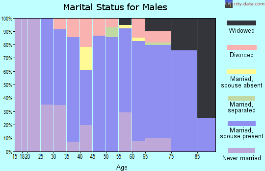 Zip code 56176 marital status for males