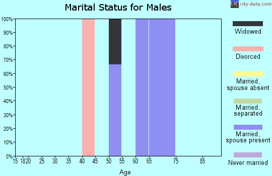 Zip code 56177 marital status for males