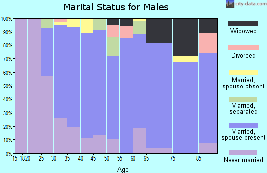 Zip code 56180 marital status for males