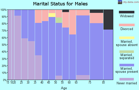 Zip code 56181 marital status for males