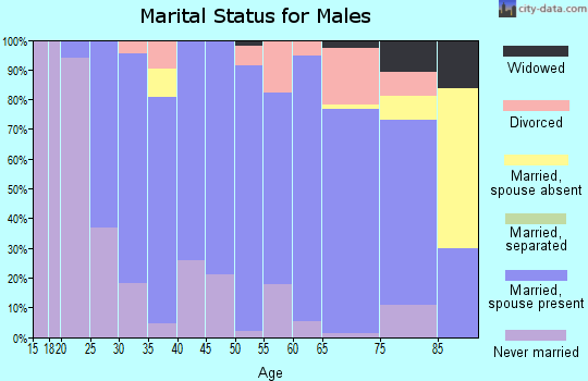 Zip code 56183 marital status for males