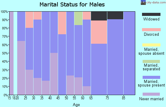 Zip code 56185 marital status for males