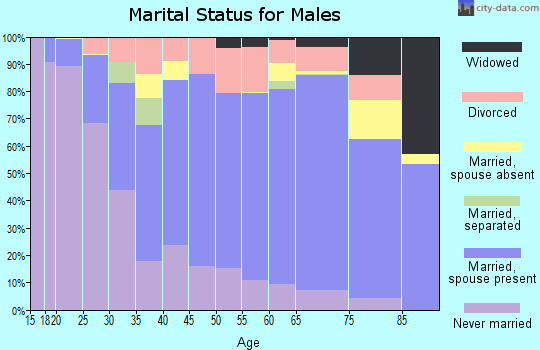 Zip code 56201 marital status for males