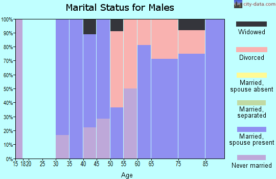 Zip code 56207 marital status for males