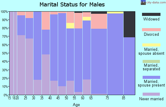 Zip code 56209 marital status for males