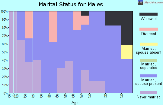 Zip code 56212 marital status for males