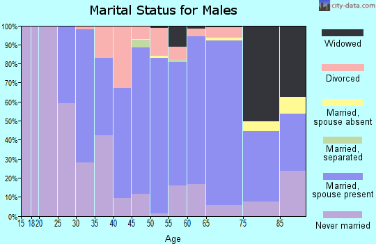 Zip code 56215 marital status for males