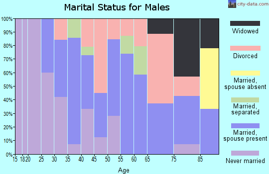 Zip code 56219 marital status for males
