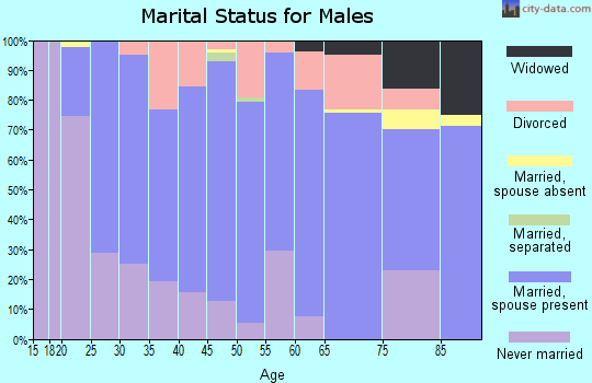 Zip code 56220 marital status for males