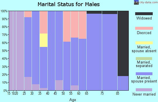 Zip code 56221 marital status for males