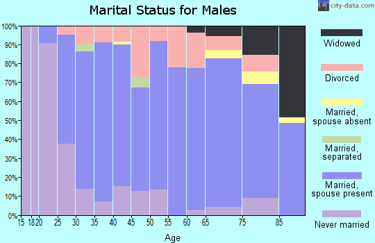Zip code 56222 marital status for males