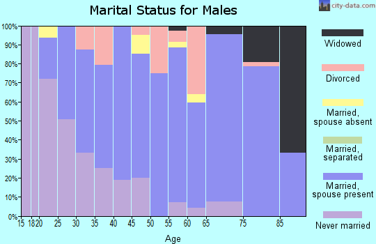 Zip code 56223 marital status for males