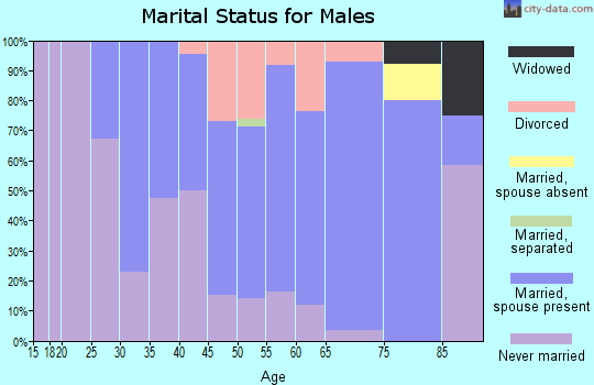 Zip code 56228 marital status for males