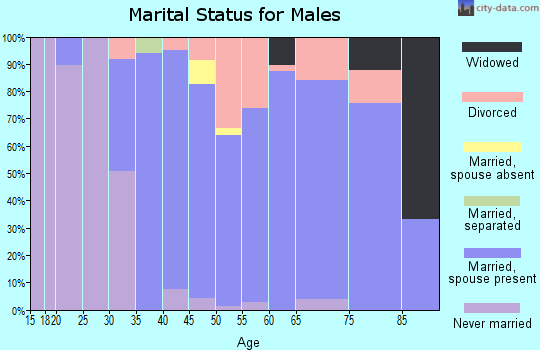 Zip code 56229 marital status for males