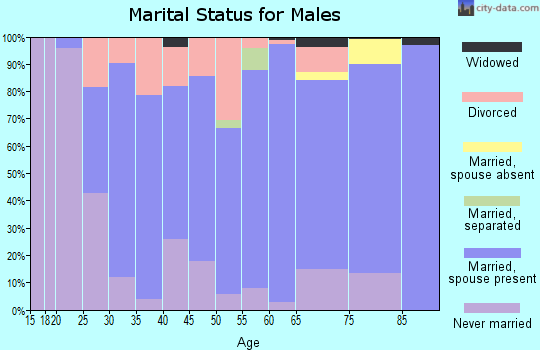 Zip code 56232 marital status for males