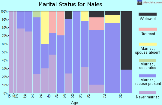 Zip code 56235 marital status for males