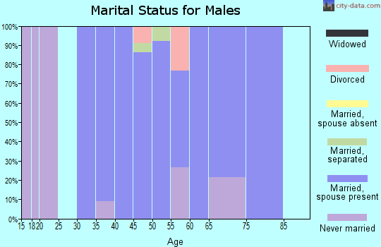 Zip code 56236 marital status for males