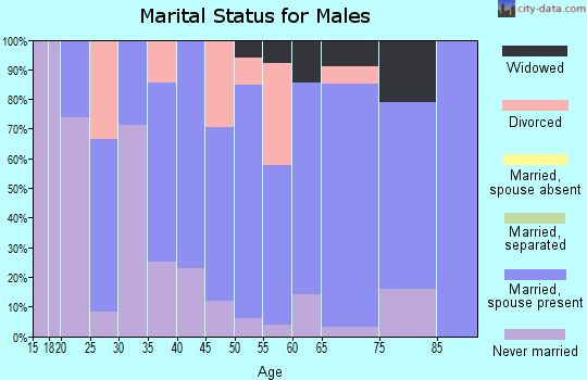 Zip code 56237 marital status for males