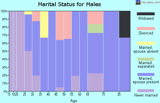 Zip code 56239 marital status for males