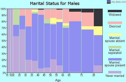Zip code 56241 marital status for males