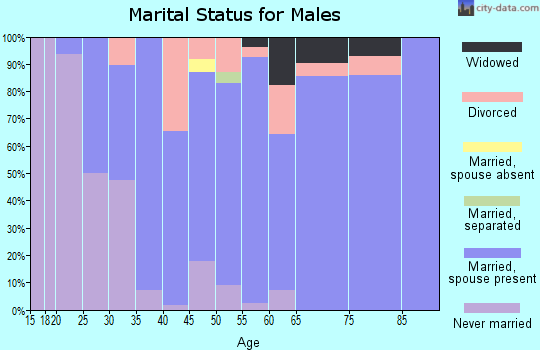 Zip code 56243 marital status for males
