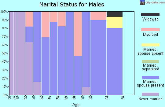Zip code 56245 marital status for males