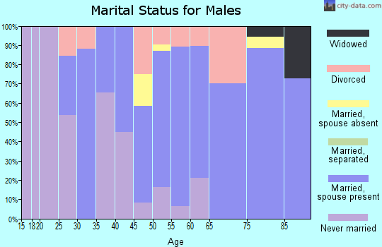 Zip code 56248 marital status for males