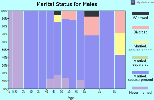 Zip code 56251 marital status for males