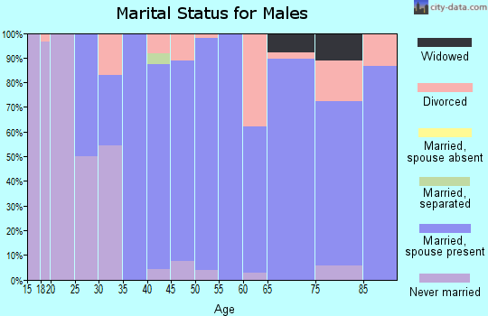 Zip code 56252 marital status for males