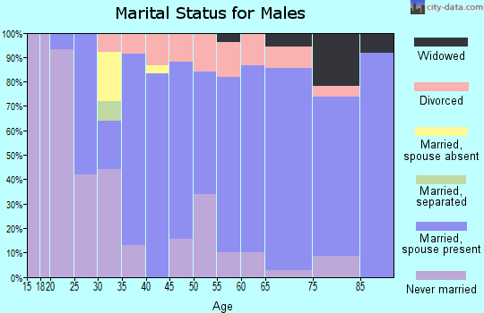 Zip code 56253 marital status for males