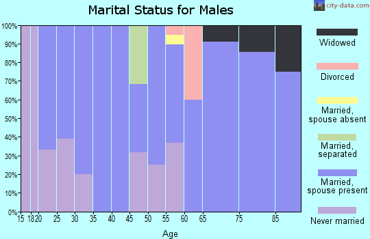 Zip code 56255 marital status for males