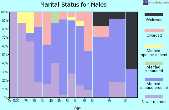 Zip code 56262 marital status for males