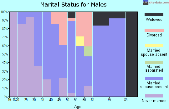 Zip code 56263 marital status for males