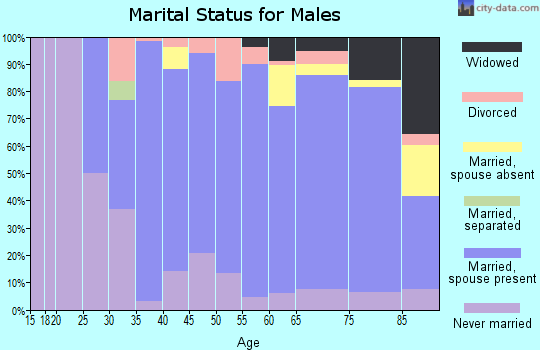 Zip code 56264 marital status for males