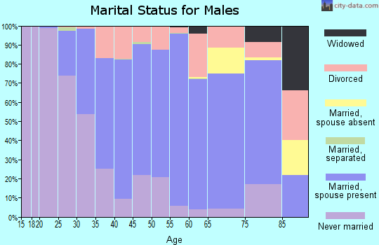 Zip code 56265 marital status for males
