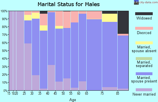 Zip code 56267 marital status for males