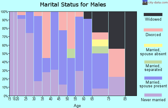 Zip code 56270 marital status for males