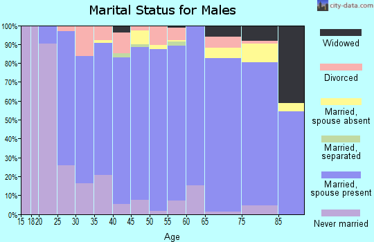 Zip code 56273 marital status for males