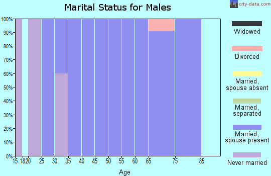 Zip code 56274 marital status for males