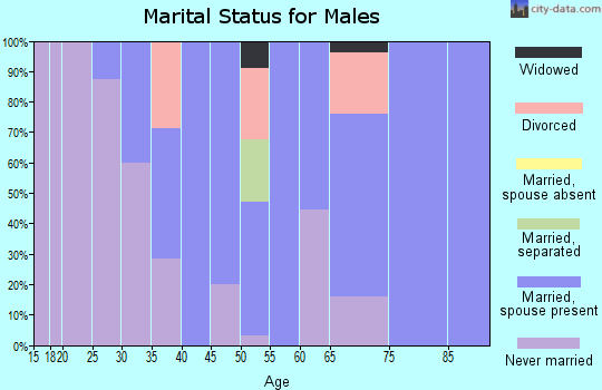 Zip code 56276 marital status for males