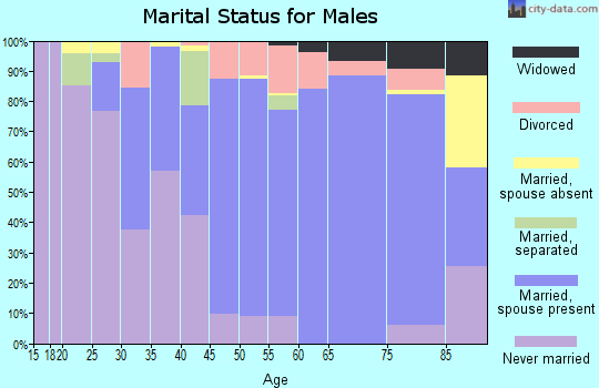 Zip code 56277 marital status for males
