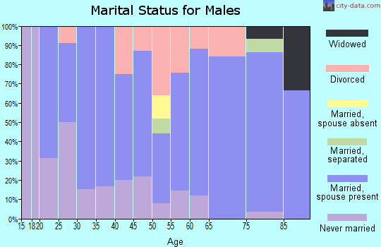 Zip code 56280 marital status for males