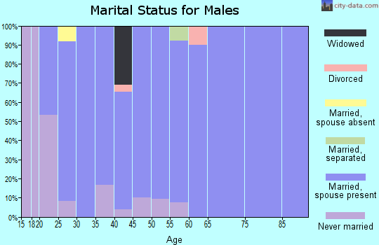 Zip code 56281 marital status for males