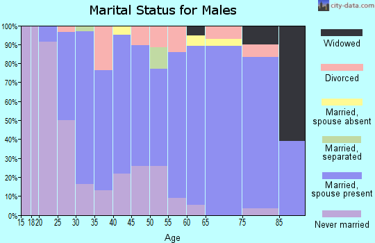 Zip code 56282 marital status for males