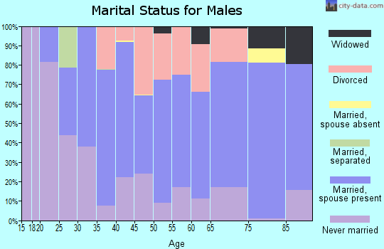 Zip code 56283 marital status for males