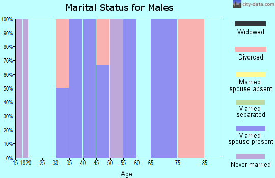 Zip code 56287 marital status for males