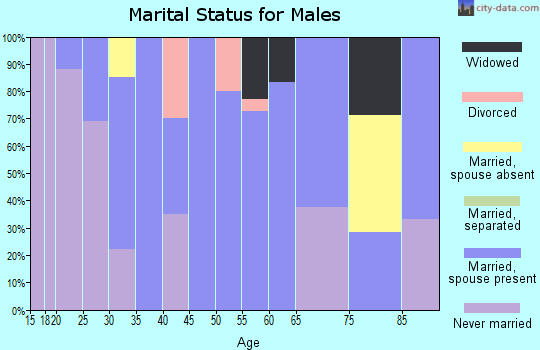 Zip code 56291 marital status for males