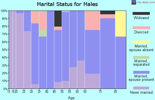 Zip code 56292 marital status for males
