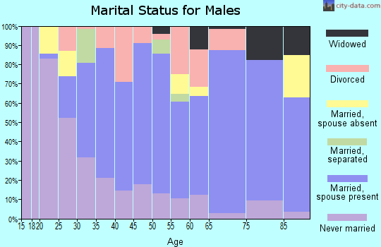 Zip code 56296 marital status for males