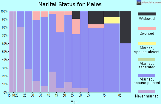 Zip code 56297 marital status for males